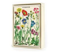 Cavallini & Co. Wildflowers Boxed Note Cards