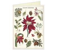 Cavallini Papers & Co. Boxed Notes, Multicolor