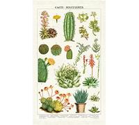 Cavallini Papers & Co Cavallini Vintage Succulents Cotton Tea Towel, Multi-Colored (Floral Pattern), S