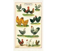 Cavallini Chickens Tea Towel