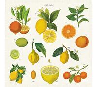Cavallini Papers & Co. Citrus Cloth Napkin - Set Of 4, Assorted