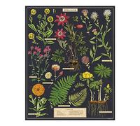 Cavallini - Vintage Jigsaw Puzzle - 1000 Pieces - 55x70cms - Herbarium