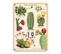Cavallini Papers & Co., Inc. Succulents Perpetual Calendar, Multi
