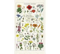 Cavallini Papers & Co., Inc. Tea Towel, Multicolor
