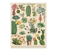Cavallini Papers & Co. PZL/SUC Cacti & Succulents 1,000 Piece Puzzle, Multi, 1000