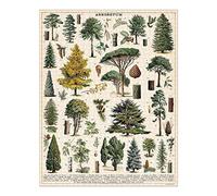 Cavallini Papers & Co. Puzzle PZL/TREE Arboretum - 1,000 Piece, Multi