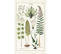 Cavallini Papers & Co. Tea Towel, Cotton, Natural