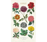 Cavallini Papers & Co. Tea Towel, Multicolor