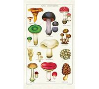Cavallini Papers TT/MUSH Mushroom Vintage Mushrooms Cotton Tea Towel