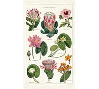 Cavallini Tea Towel, Cotton, Multicolor