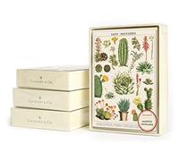CAVANILLI & CO. Cavallini Papers Succulents Boxed Note Cards (NC/SUC)