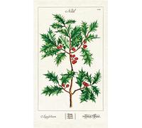 Cavallini Tea Towel, Cotton, Multicolor