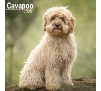 Cavapoo Calendar 2025 - Dogs - Month To View