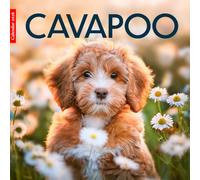 Cavapoo 2026 Calendar: Adorable Cavapoos in Stunning Photography - A Year of Cuteness, Joy, and Puppy Love