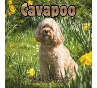 Cavapoo Calendar 2026: 12 Months Organizer For Home & Office From January to December