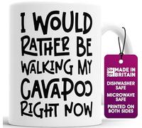 Cavapoo Collie Dog Lover Mug - I Would Rather Be Walking My Cavapoo Collie - Funny Gift for Men & Women - 11oz Ceramic Mug - Pet Owner Present, Dog Walker Gift - Dishwasher & Microwave Safe