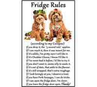 Cavapoo Dog Gift - Fridge Rules - Large Fun flexible Fridge Magnet- size 16cms x 10 cms (approx. 6" x4")