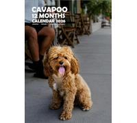 Cavapoo Dog Wall Calendar, A3 Size, Wire-Bound, Full Colour, Free Pack of Calendar Stickers