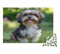 Cavapoo Jigsaw Puzzles Puzzles for Adults Kids. 1000 Piece Cute Dog Impossible Challenge Toy Educational Games Home Decoration for Educational Games Gifts 1000pcs (75x50cm)