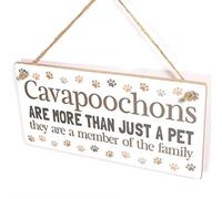 Cavapoochons Are Family Sign, Pawprint Border Decor