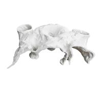 Cave for Aquarium - Tunnel for Betta Underground Cave Aquarium | Tray Decor for Fresh and , Landscape for Sweet and Salty