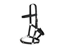 Caveçon longe for horse riding Kincade Padded