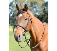 Cavesson for horse with reins Kincade Classic