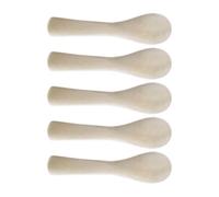 Caviar Spoon Set Natural Shell 5 Piece Mini Spoons for Serving, Stirring