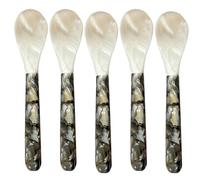 Caviar Spoons, Round Spoons, Pearl Caviar Spoon, Decorative Caviar Spoon, 5 Pieces Set Pearl Handle Enhances Presentation Easy to Use Family-Friendly Adds Elegance Versatile Trendy Look for Caviar