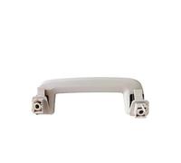 CAWEUER Auto Parts Car Front Roof Handle Compatible with Ford Ranger T6 2012-2019 BT50 2012-2019(Gray 2PCS)
