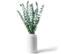 CAwished 12 Pcs Dried Preserved Green Eucalyptus Plant Stems Branches Leaves 17" for Vase Filler, Flower Arrangement, Wedding Decor, Home Décor