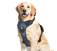 CAWJUG Dog Harness Large Dog No Pull, Reflective No-Choke Harness with 2 Leash Clip, Adjustable Soft Padded Pet Vest Harness, Breathable Easy on and Easy off for Medium and Large Dogs(Blue,S)