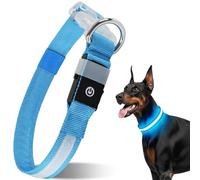 CAWJUG Light Up Dog Collar Rechargeable, Flashing Dog Collar 3 Glowing Modes, LED Dog Collar with Adjustable Soft & Airy Strap for Small to Large Dogs (Blue, S)