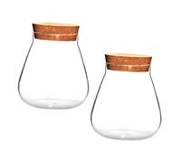 CAXUSD 2pcs Glass Seal Canister Micro Landscape Vases Storage Bottle Decorative Empty Vase Smooth Surface Design