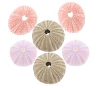 CAXUSD 6pcs Sea Star Shell Planter Air Plants Holder Natural Sea Star Shell Decor for Home Gardening Unique Coastal Decoration for Indoor Plants