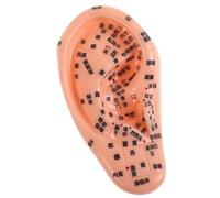 CAXUSD Human Ear Acupuncture Model Soft Silicone Ear for Educational Purposes Multifunctional PVC Model with Engraved Chinese Labels in Chinese Medicine Schools for Teaching and Massage