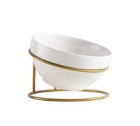 CAXUSD Pet Food Bowl Stable Raised Dog and Cat Feeder with Rack Design Ceramic Slant Feeding Bowl for Small Dogs and Pets for Dining Use