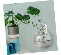 CAXUSD Transparent Hydroponic Hanging Glass Vase for Succulent Plants Round Wall-mounted Plant Holder Water Container for Bedroom and Office Decor
