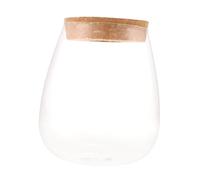 CAXUSD Transparent Hydroponic Plant Bottle for DIY Microlandscape Elegant Glass Terrarium Vase for Home and Plant Display Lightweight and Sturdy Ecological Planter