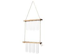 CAXUSD Wall Hanging Hydroponic Planter Glass Tube Vase with Double Stand for Plant Propagation and Home Decoration Suitable for Pothos African Moss and Flowers