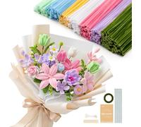 Caydo 500 Pieces Pipe Cleaners Flower Set, Chenille Stems, Pipe Cleaner Craft Supplies Bulk Fluffy Fuzzy Sticks for DIY Art Projects Creative Gift Party Valentine's Day Decorations (Macaron)