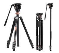 Cayer Aluminium Video Tripod, 75 Inches, 4-Section, Fluid Head, 13.2 lb Load Capacity, Silver, DSLR Camera, Camcorder