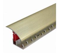 Cayrus World Of Finishing 40mm Aluminium Door Threshold Strip Ttg Adjustable Height Easy Clip Carpet Trim Brass Effect