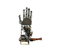 CAYUND Robotic 5Dof Metal Hand Palm, Bionic Mechanical Finger Humanoid Robot, 5 Axis Small Servo Manipulator Gripper Claw DIY Stem(Right hand)