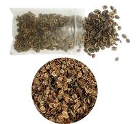 Cayway 1 Pack Realistic Miniature Leaves Simulation Leaves for DIY Railway Fairy Garden Simulation Vine for Fairy Garden Diorama Scenery Landscape Layout