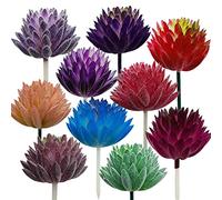 Cayway 10 PCS Artificial Succulent Plants, Mixed Color Artificial Succulents Picks for Indoor and Outdoor Home Decor Floral Arrangements