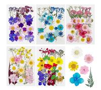 Cayway 170 PCS Dried Flowers for Resin, Real Nature Dried Pressed Flower Leaves for DIY Nail Art Cards Jewelry Making Epoxy Resin Molds Candle Accessories Floral Decors, Multicolor