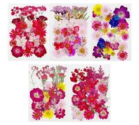 Cayway 170 PCS Dried Pressed Flower, Pressed Flowers and Leaves for Resin, Real Nature Pressing Floral Leaves for DIY Craft, Jewelry Making, Candle Scrapbooking Supplies, Red