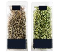 Cayway 2 Pack Static Grass Tuft, 2 Color Model Grass Tufts Railway Artificial Grass Long Shrub Vegetation Groups for DIY Architecture Building Model Railway Train Diorama Garden Scenery
