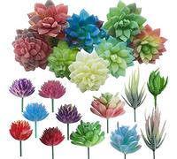Cayway 20 PCS Artificial Succulent Plants Assorted Multicolor Faux Fake Succulents, Cactus Aloe Succulent Assortment in Flocked in Different Type for Birthday Home Decor Indoor Garden DIY